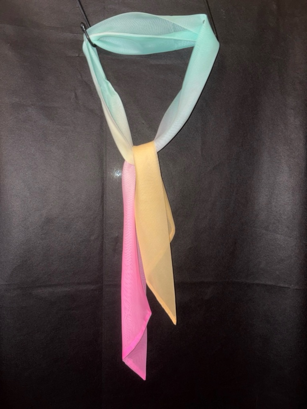 Pastel Gradient Sheer Chiffon Skinny Scarf OS Pastel Ombre Y2K
EUC. 

Excellent